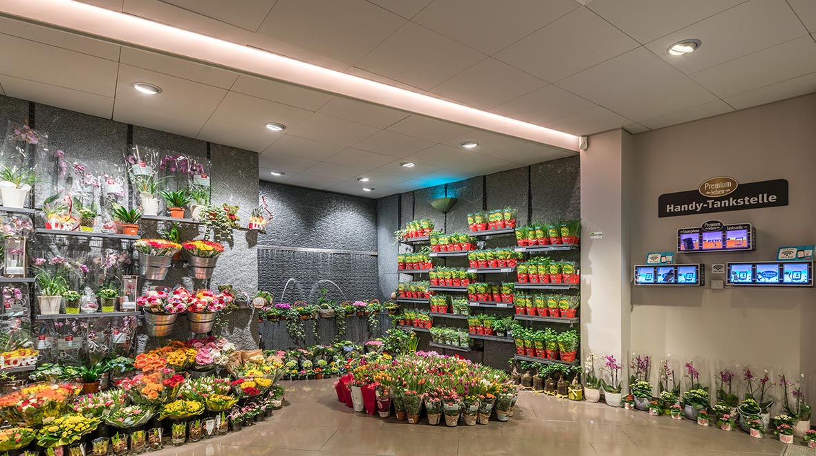 Oktalite Supermercato Rewe